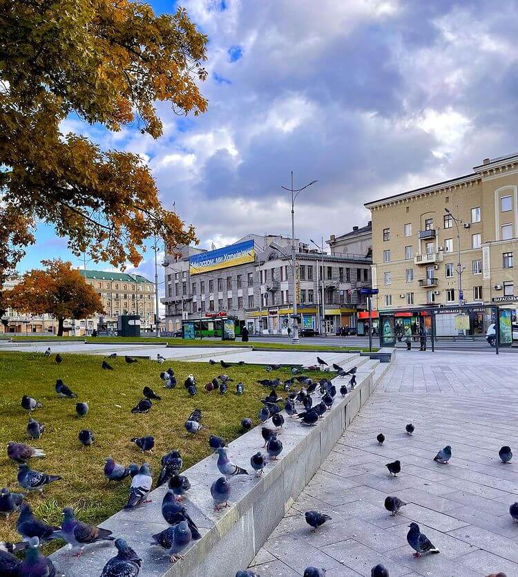 Kharkiv city